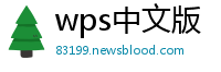 wps中文版